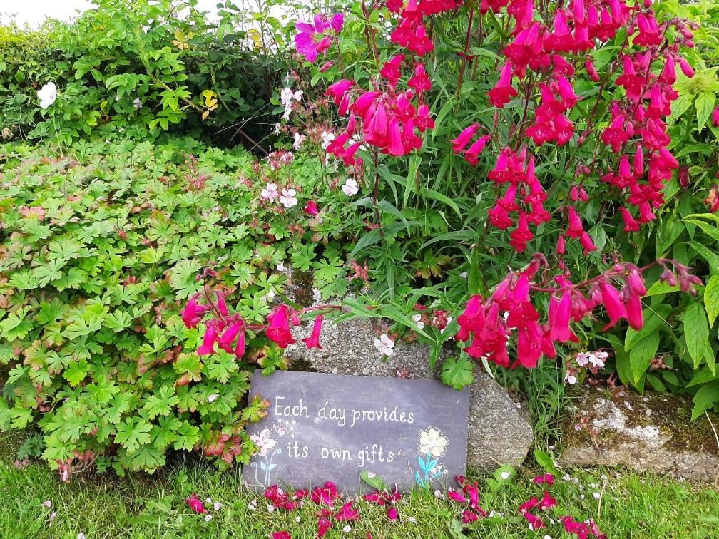 Abhainn Ri Cottages ブレッシントン エクステリア 写真