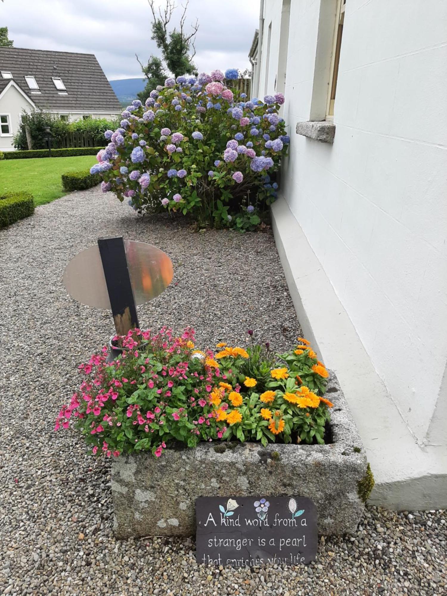 Abhainn Ri Cottages ブレッシントン エクステリア 写真