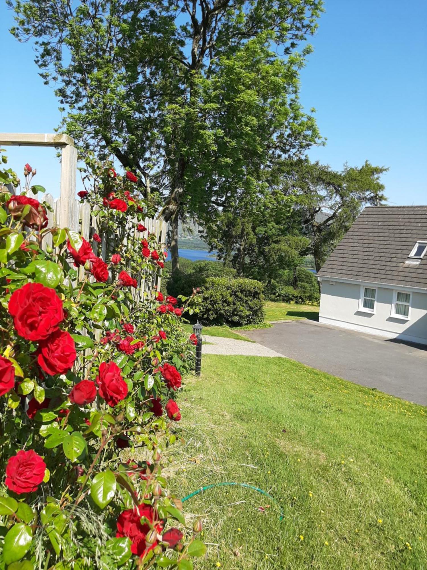 Abhainn Ri Cottages ブレッシントン エクステリア 写真