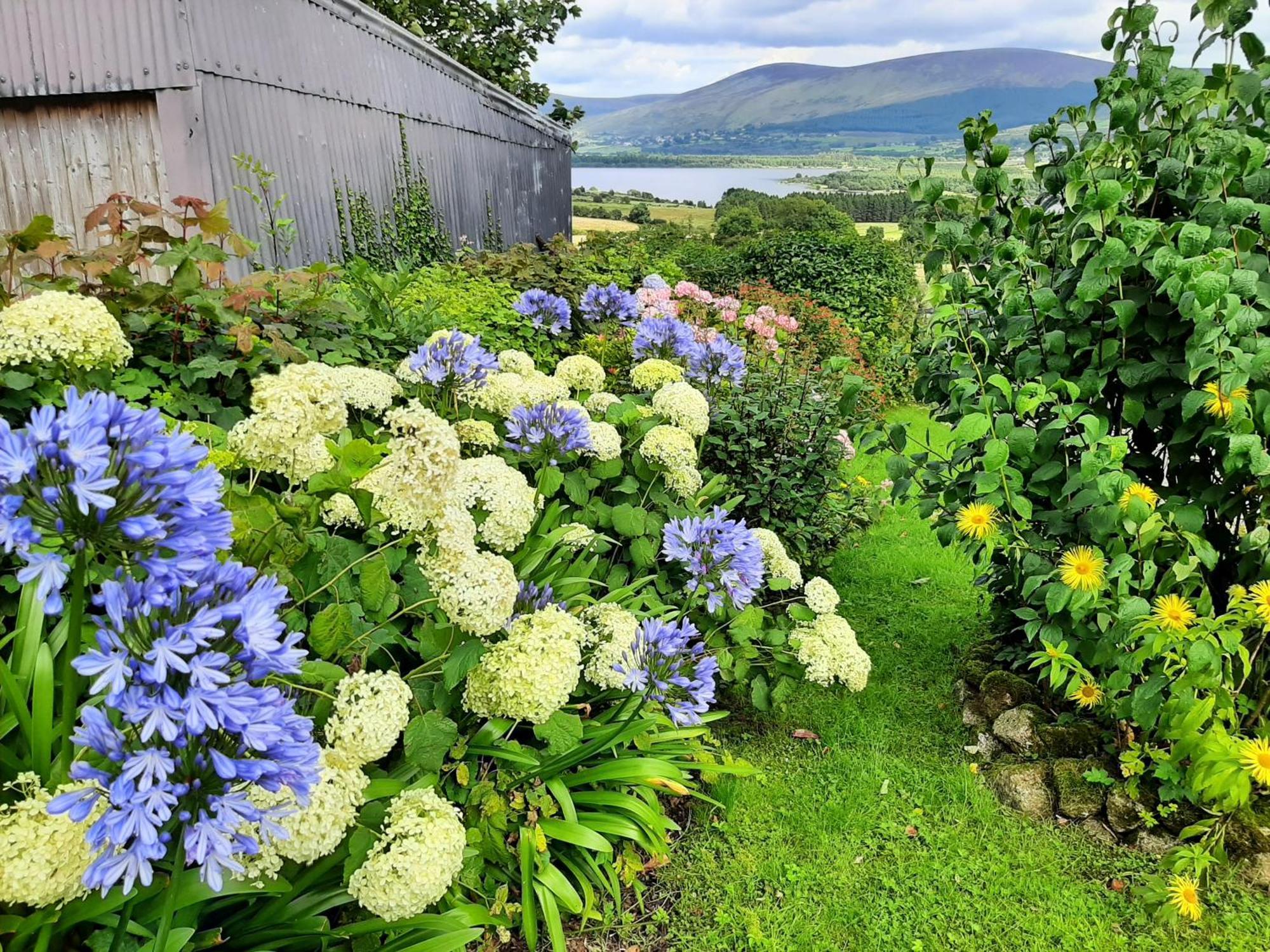 Abhainn Ri Cottages ブレッシントン エクステリア 写真