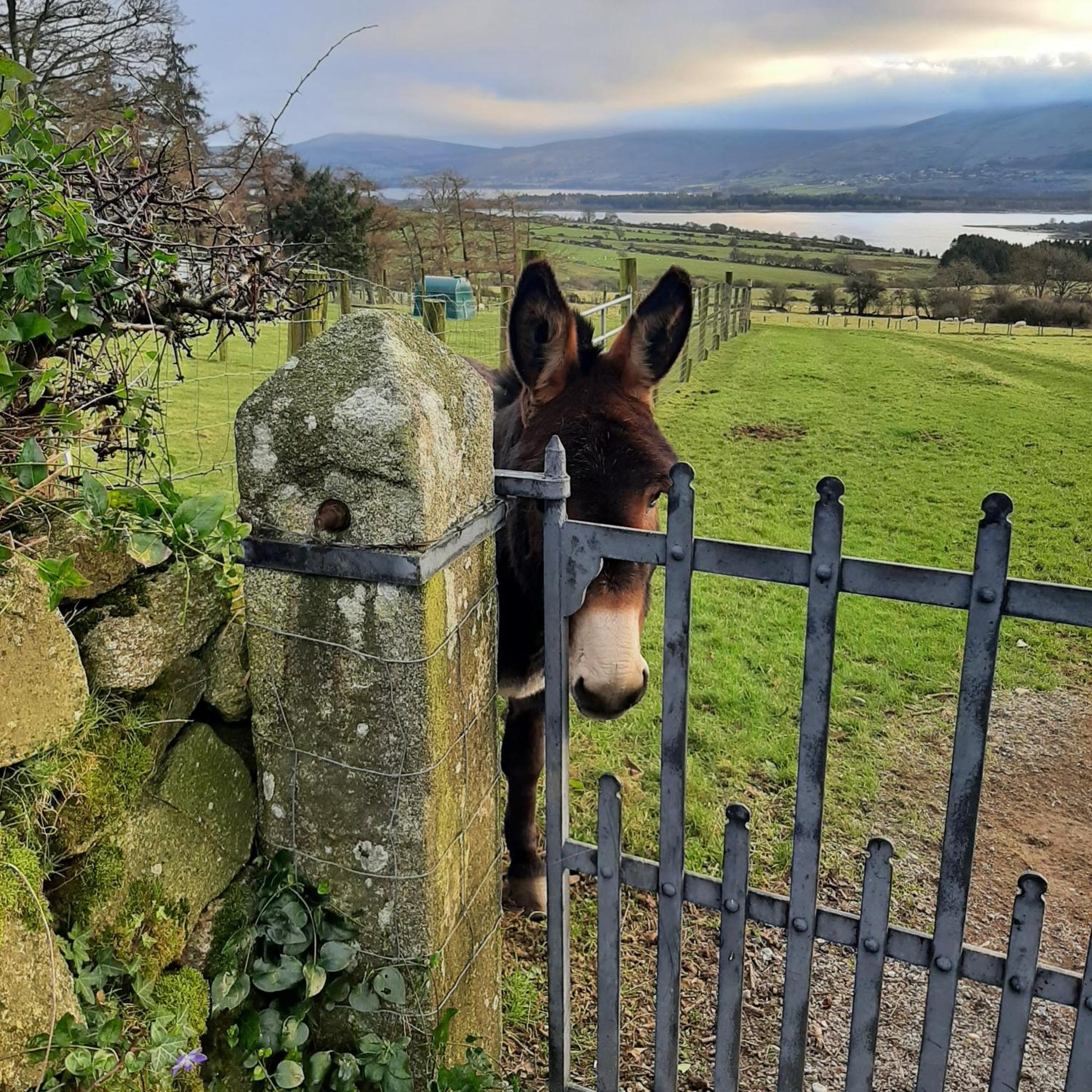Abhainn Ri Cottages ブレッシントン エクステリア 写真